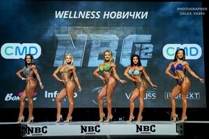 WELLNESS НОВИЧКИ